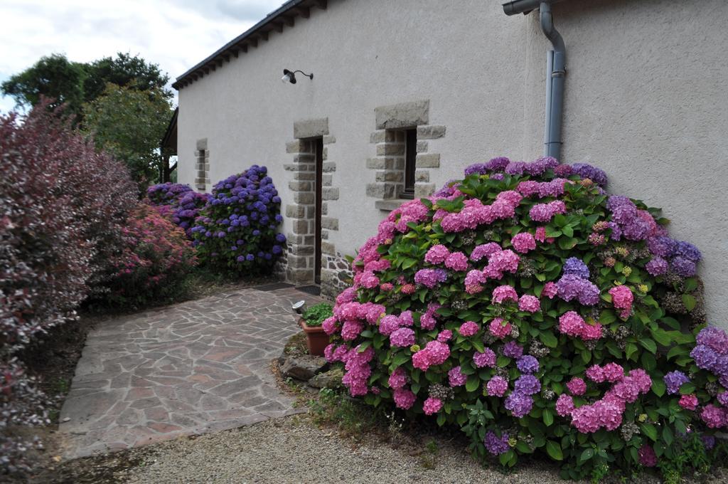 Perrault Gites Loscouet-sur-Meu Экстерьер фото